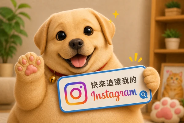 追蹤IG