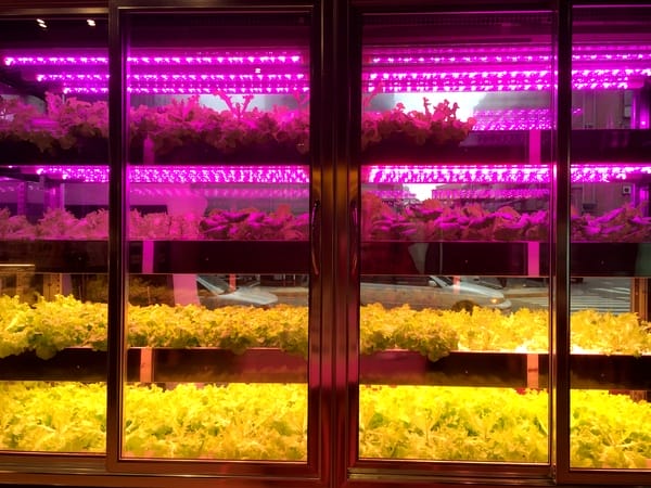 Nice Green美蔬菜廚房(台北大直鍋物店):Nice Green美蔬菜廚房