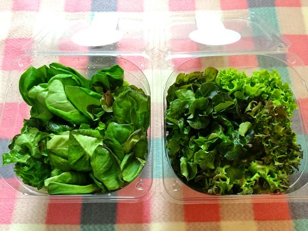 Nice Green美蔬菜廚房(台北大直鍋物店):Nice Green美蔬菜廚房