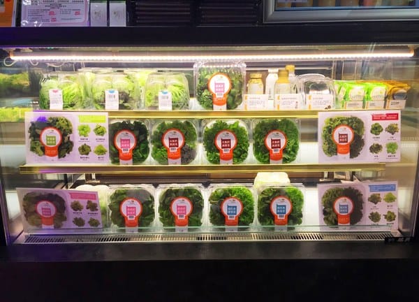 Nice Green美蔬菜廚房(台北大直鍋物店):Nice Green美蔬菜廚房