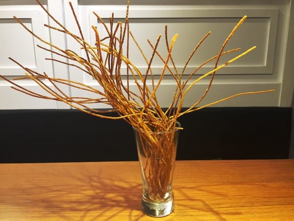 卡布里炸雞 GABURICHICKEN がブリチキン(大安店):卡布里炸雞 GABURICHICKEN がブリチキン (大安店)