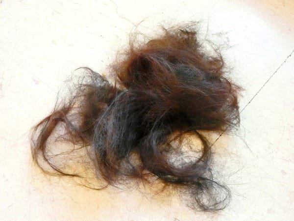 cm20160626___bb2cf376f47a730ea71e4dae87f