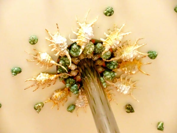 cm20160912___5c093494c38aba1c63bc603ad1f