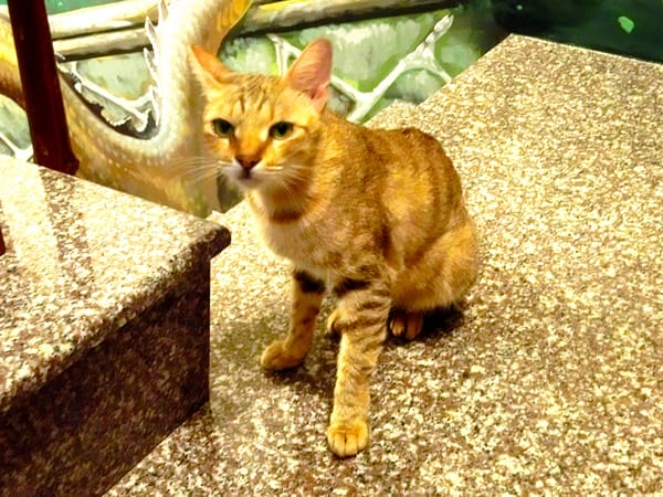 cm20160912___ce38ef0cd37ce7c5f5dded34261