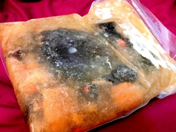 立瑞畜產:立瑞畜產 放漫穀雞系列組合