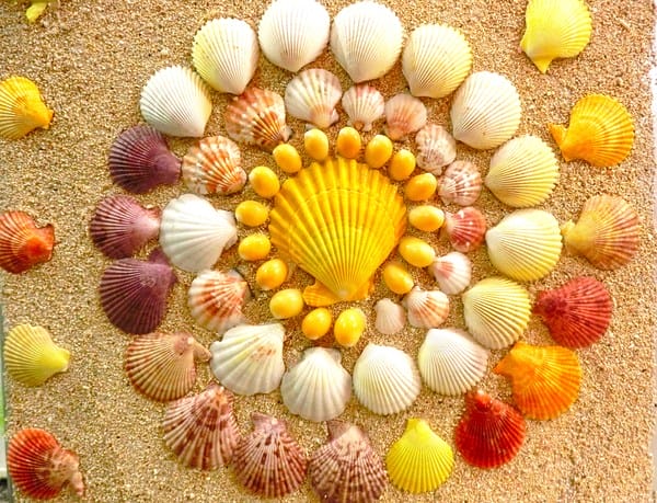 cm20160912___bc11b1998bb30c4ba08580ca5d5