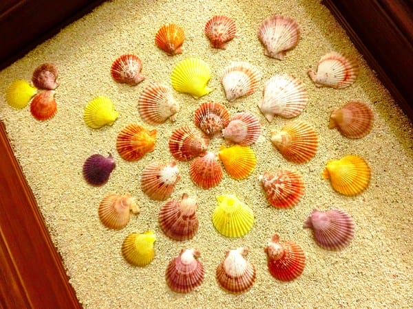 cm20160912___a0b66303972e4f8b3692b440cea