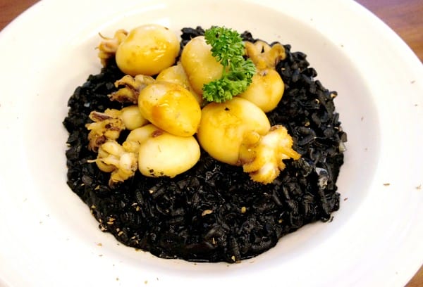 貓咪先生的朋友:貓咪先生的朋友