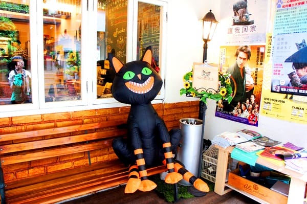 貓咪先生的朋友:貓咪先生的朋友