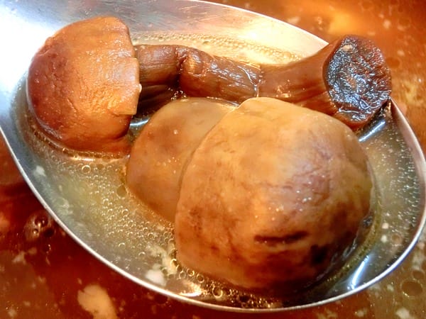 頂級香檳茸養生燉雞湯:頂級香檳茸養生燉雞湯