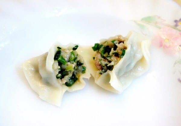 貓咪啃餃子:貓咪啃餃子