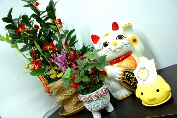 雞雞叫雞排:雞雞叫脆皮雞排