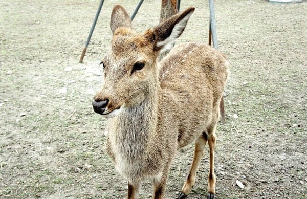 美爽爽渡假汽車旅館:美爽爽渡假汽車旅館