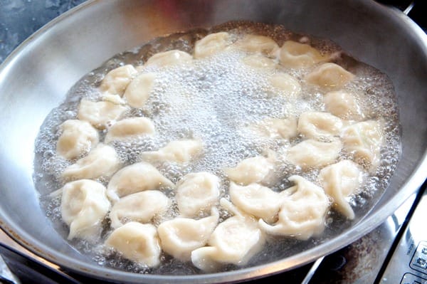 貓咪啃餃子:貓咪啃餃子