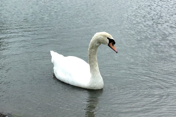 美爽爽渡假汽車旅館:美爽爽渡假汽車旅館
