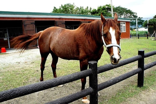 美爽爽渡假汽車旅館:美爽爽渡假汽車旅館