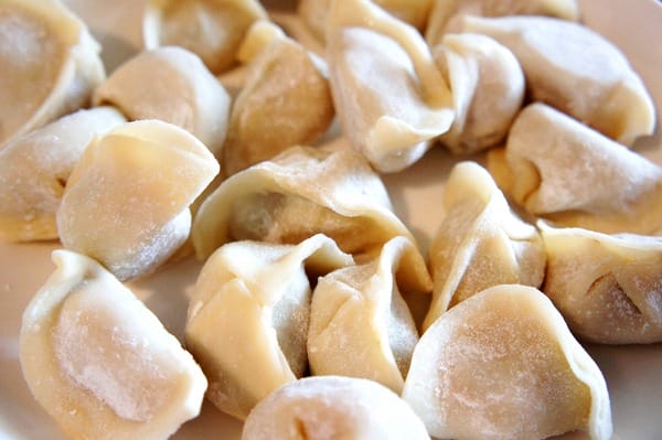 貓咪啃餃子:貓咪啃餃子