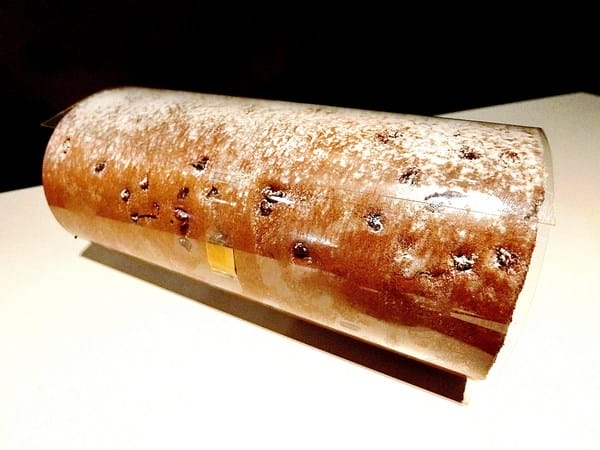 橙色食品:橙色食品。法芙娜巧克力蛋糕捲