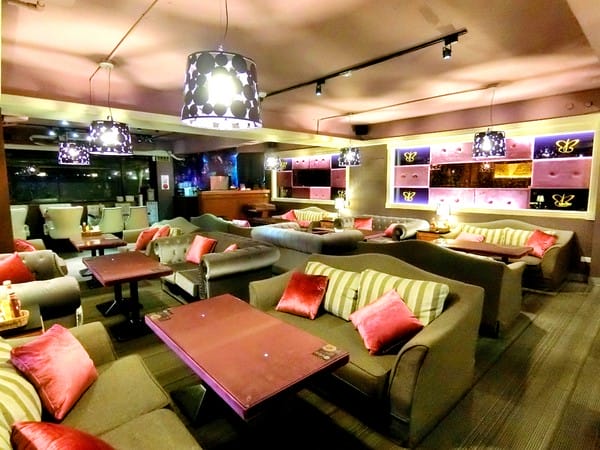 栢金 BIRKING:栢金 BIRKING