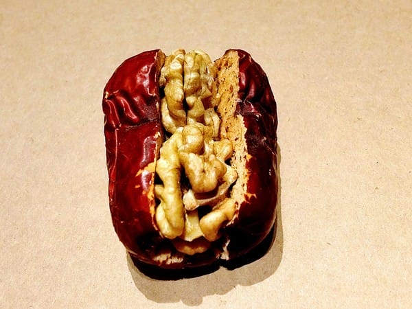 美日春核桃棗:美日春核桃棗