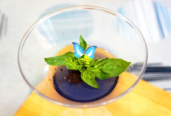 夏嘟瑪杜義麵坊:夏嘟瑪杜