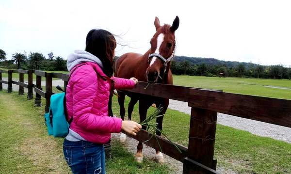 美爽爽渡假汽車旅館:美爽爽渡假汽車旅館