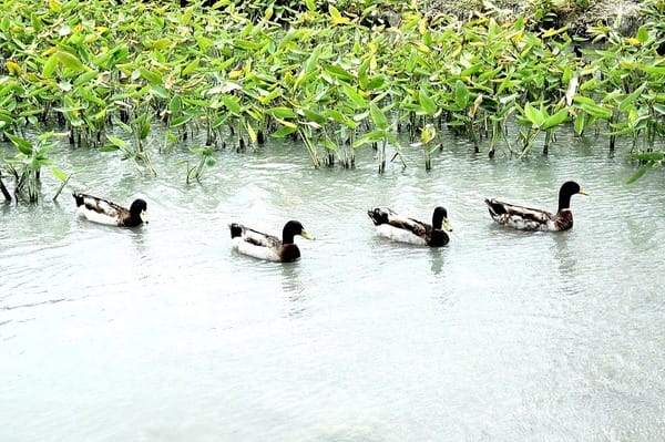 美爽爽渡假汽車旅館:美爽爽渡假汽車旅館