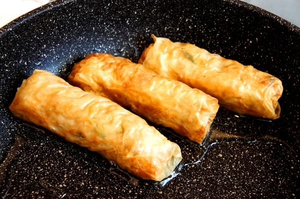 貓咪啃餃子:貓咪啃餃子