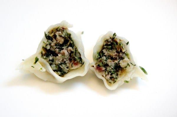 貓咪啃餃子:貓咪啃餃子