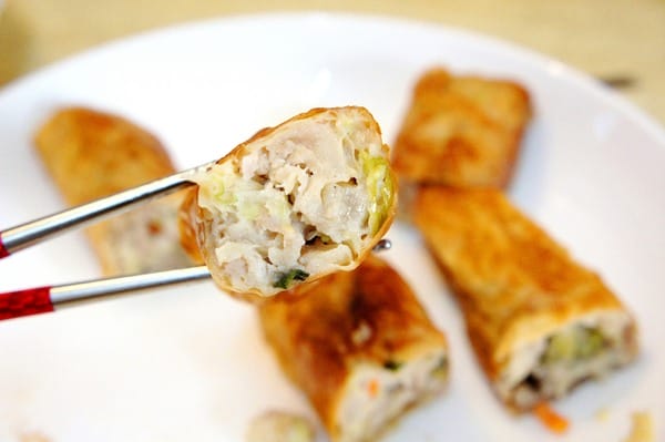 貓咪啃餃子:貓咪啃餃子