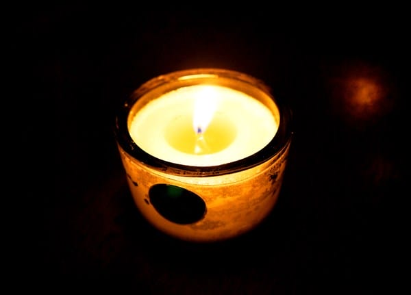 樹下 Undertree:樹下 Undertree