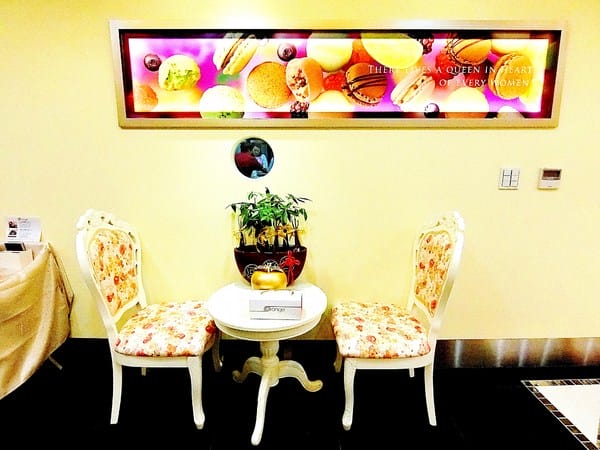 橙色食品:橙色食品。法芙娜巧克力蛋糕捲