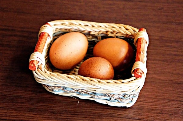 喜園風味涮涮鍋(忠孝東路店):【喜園風味涮涮鍋】後山埤捷運美食