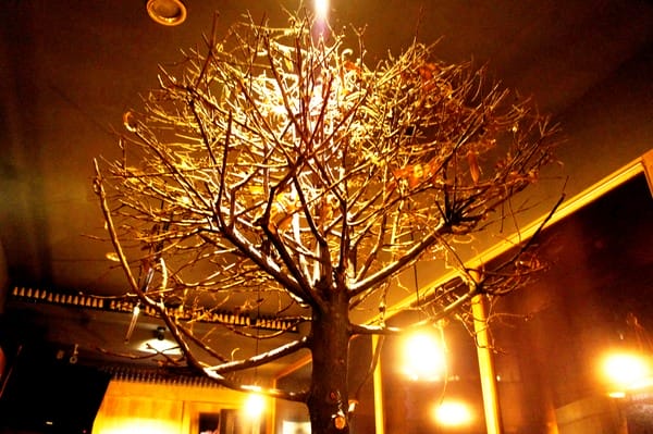 樹下 Undertree:樹下 Undertree