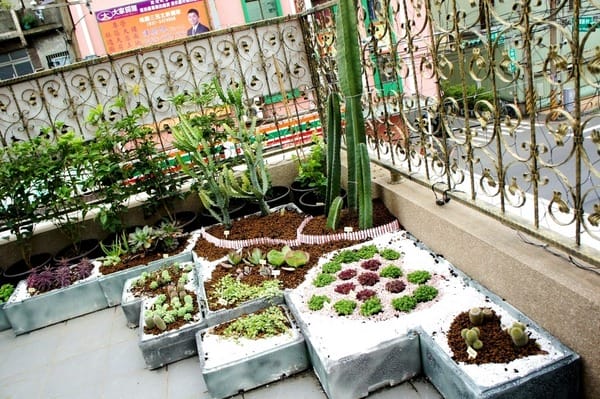 國王烘焙Bistro 181 法國餐廳:Bistro 181法國餐廳