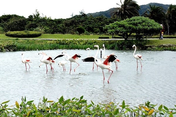美爽爽渡假汽車旅館:美爽爽渡假汽車旅館