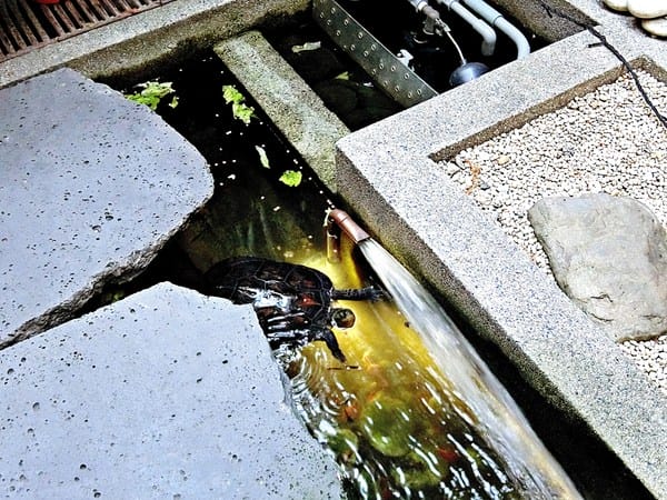 赤崁璽樓:【赤崁璽樓】台南素食推薦