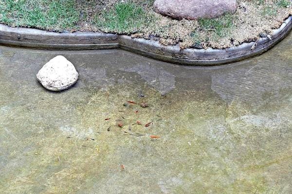 cm20170423___ae45d9b9f85020c575f174930a2