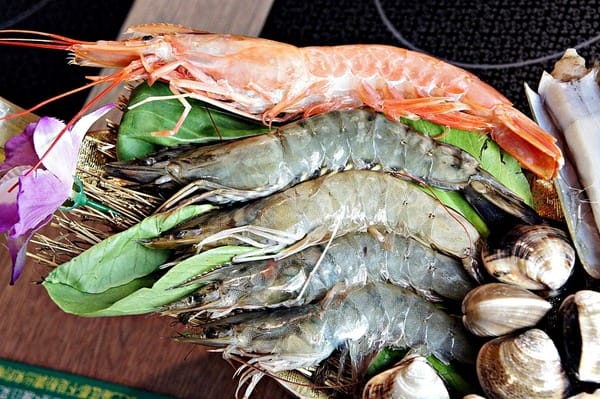 先精緻日式火鍋:先精緻日式火鍋