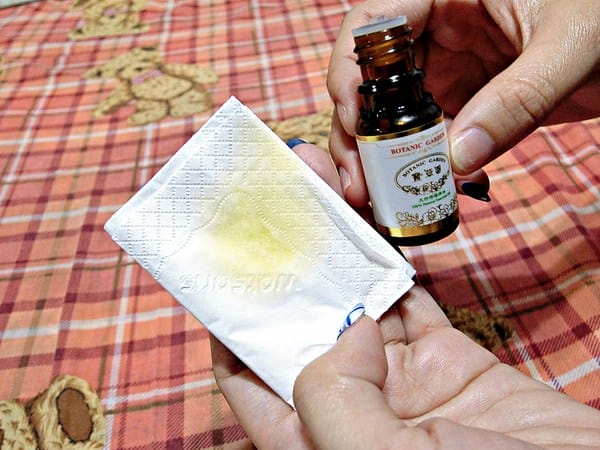 寶草園:Botanic Garden 寶草園–甜杏仁油、檸檬精油、甜橙精油體驗分享