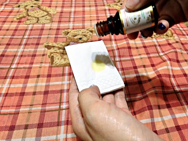 寶草園:Botanic Garden 寶草園–甜杏仁油、檸檬精油、甜橙精油體驗分享