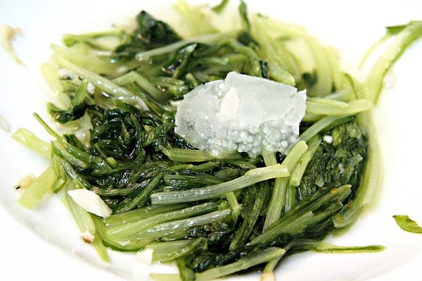 半天水事業股份有限公司:鮮剖100%純天然冷壓初榨椰子油