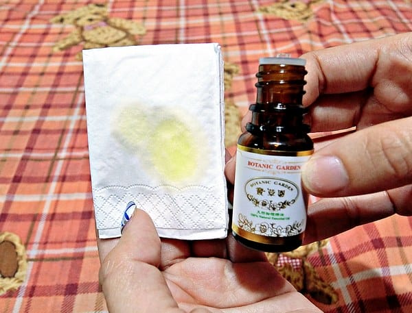 寶草園:Botanic Garden 寶草園–甜杏仁油、檸檬精油、甜橙精油體驗分享