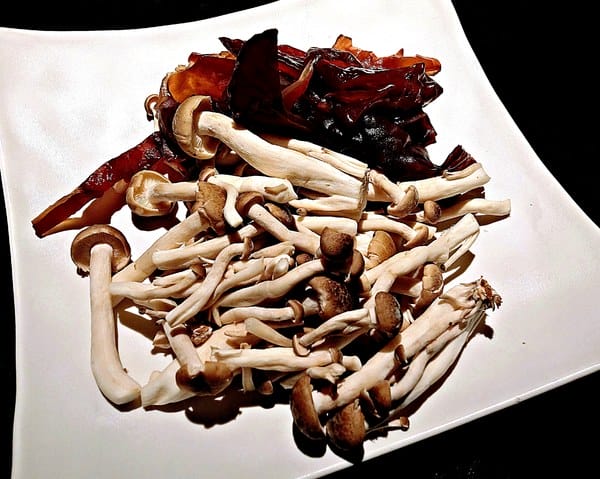 辛殿麻辣鍋(ATT 4 FUN信義店):辛殿麻辣鍋(ATT 4 FUN信義店)