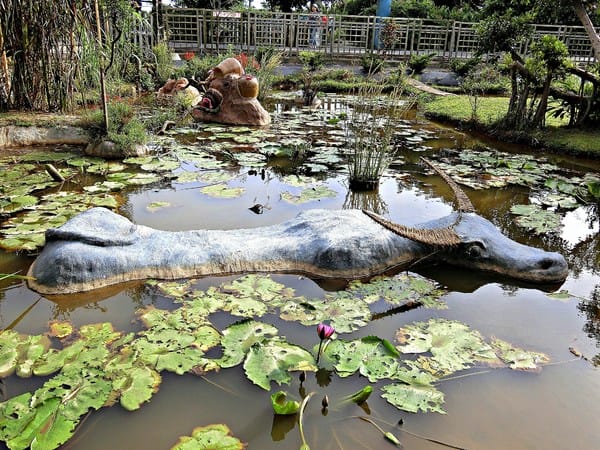 觀音蓮花季:【2017觀音蓮花季】荷浪桃桃。樂遊蓮池.獨家大宅門布袋戲變臉秀
