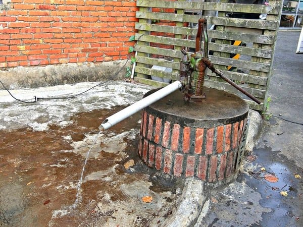 觀音蓮花季:【2017觀音蓮花季】荷浪桃桃。樂遊蓮池.獨家大宅門布袋戲變臉秀