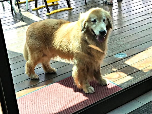 日光行館:日光行館
