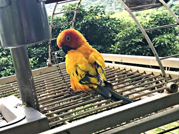 日光行館:日光行館