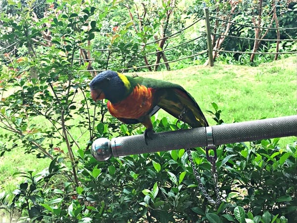 日光行館:日光行館