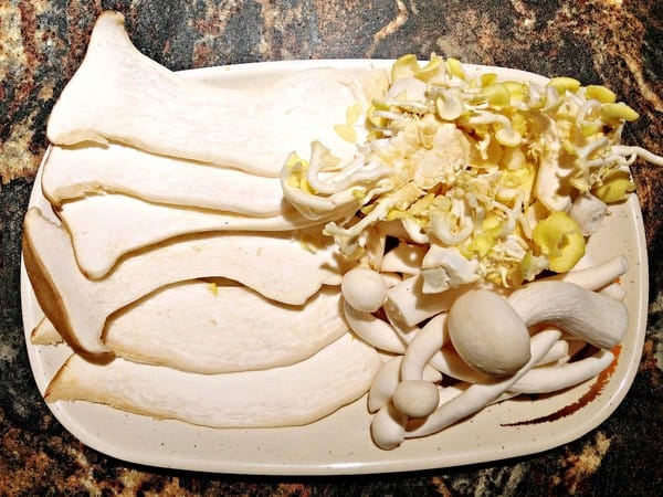 鍋士無雙石頭火鍋(新莊富國店):鍋士無雙石頭火鍋(新莊富國店)